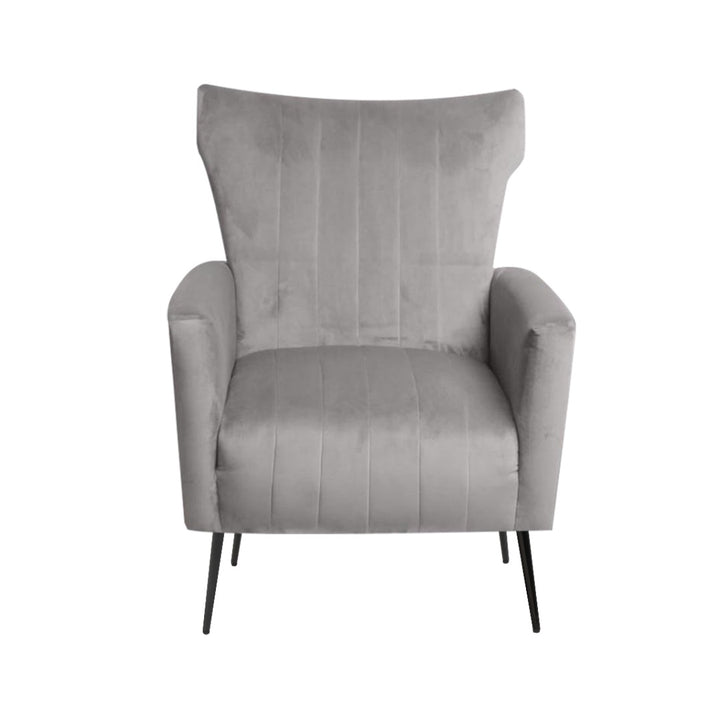 Salvador Chair Grey Velvet - Future Classics Furniture