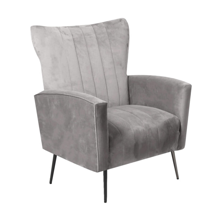 Salvador Chair Grey Velvet - Future Classics Furniture